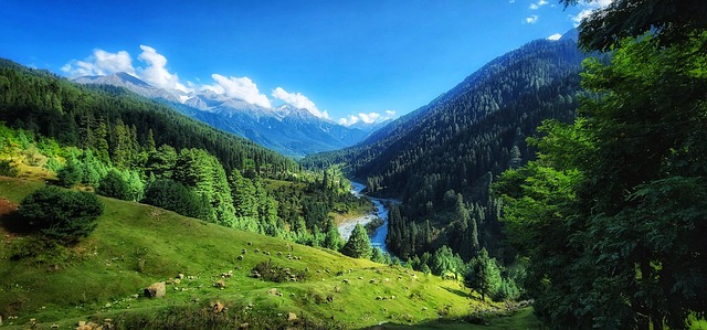 Pahalgam: A Slice of Paradise in Kashmir