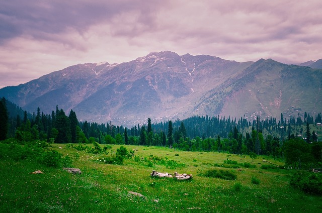 why visit pahalgam
