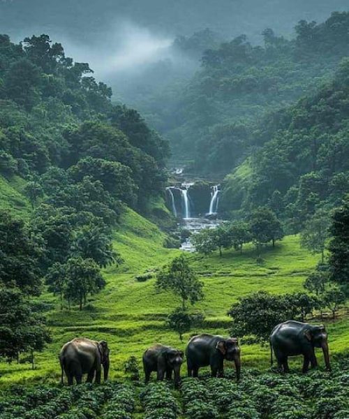 kerala